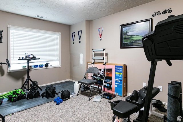 6576 W Oak Bridge Dr, West Jordan, UT 84081 - exercise room featuring carpet floors, a textured ceiling, and baseboards