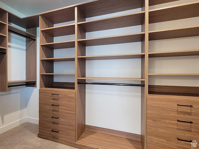 1910 W Bonneville Ln, Kaysville, UT 84037 - walk in closet with carpet floors