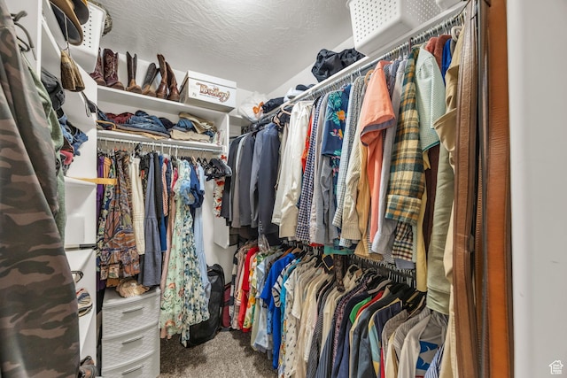 spacious closet with carpet flooring
