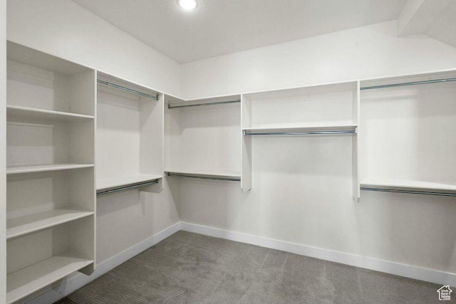 48 N Meadow Dr, Pine Valley, UT 84781 - spacious closet with carpet floors