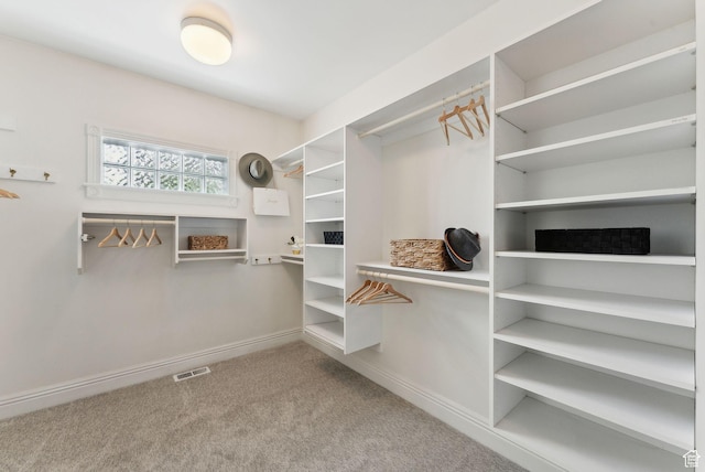 6391 S Shenandoah Park Ave E, Salt Lake City, UT 84121 - walk in closet with visible vents and carpet flooring