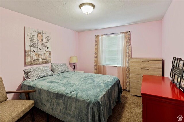 6241 S Barton Park Dr, West Jordan, UT 84081 - view of carpeted bedroom