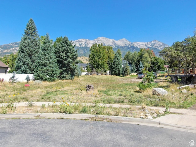35 Sledhill Cir Unit 2, Alpine, UT 84004