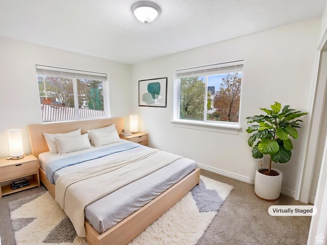 112 E Ama Fille Ln, Payson, UT 84651 - carpeted bedroom with baseboards