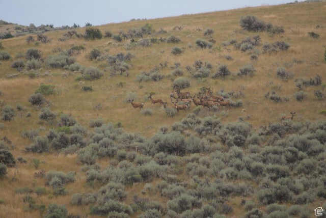 4800 S 5400 W, Weston, ID 83286