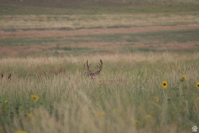 4800 S 5400 W, Weston, ID 83286