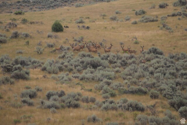 4800 S 5400 W, Weston, ID 83286
