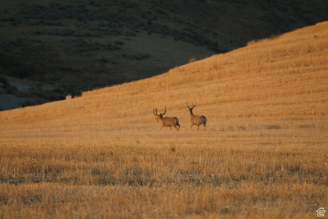 4800 S 5400 W, Weston, ID 83286