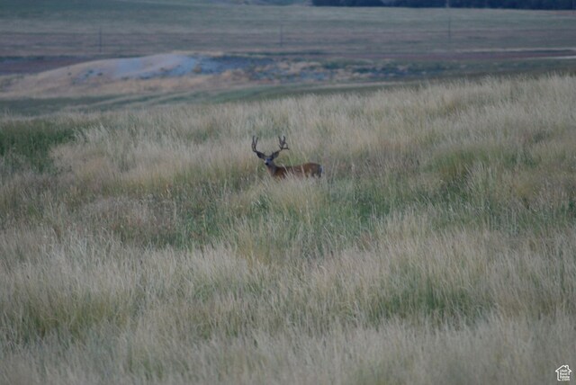 4800 S 5400 W, Weston, ID 83286