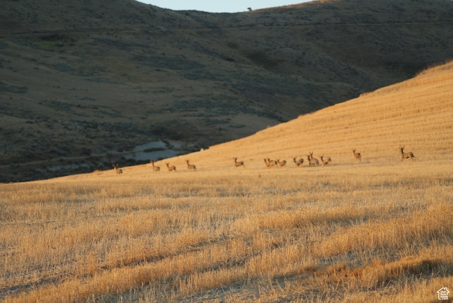 4800 S 5400 W, Weston, ID 83286