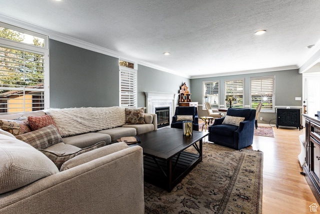 637 S Pine Meadow Ln, Tooele, UT 84074 - living area with light wood finished floors, a glass covered fireplace, a healthy amount of sunlight, and crown molding