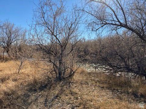7413 W 7250 S, Myton, UT 84052 - view of local wilderness
