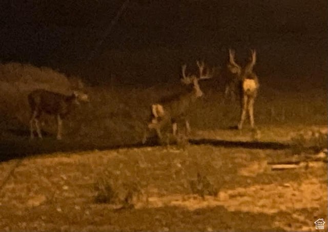 7413 W 7250 S, Myton, UT 84052 - view of nature at night