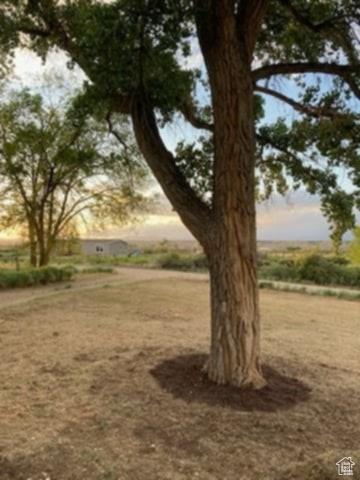 7413 W 7250 S, Myton, UT 84052 - view of yard
