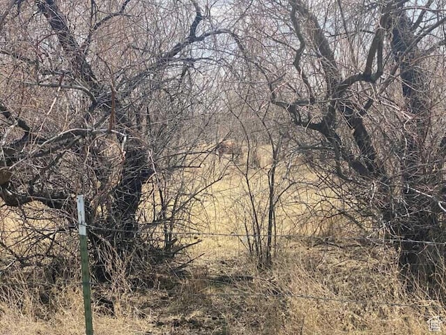 7413 W 7250 S, Myton, UT 84052 - view of landscape