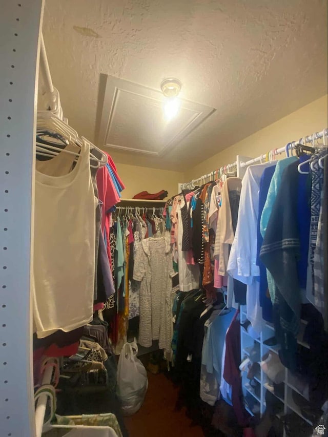 7413 W 7250 S, Myton, UT 84052 - spacious closet with attic access