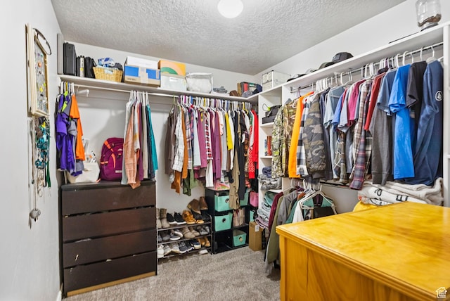 walk in closet featuring carpet floors