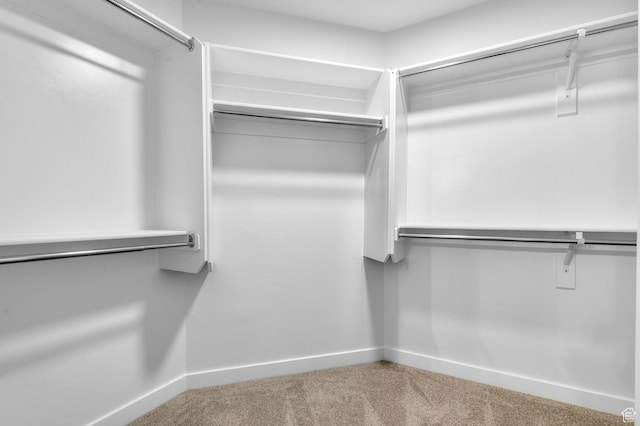6622 W Spring Snow Ln, Herriman, UT 84096 - walk in closet featuring carpet floors