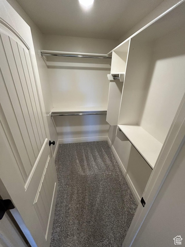 337 W Paddock Ln S, Kaysville, UT 84037 - walk in closet with carpet