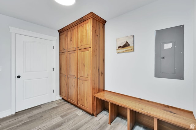 4990 W 12000 N, Tremonton, UT 84337 - mudroom featuring electric panel and light wood-style flooring