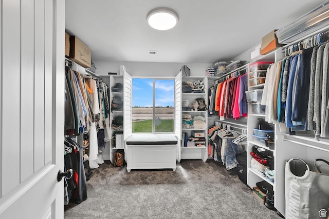 4990 W 12000 N, Tremonton, UT 84337 - spacious closet with carpet floors and visible vents