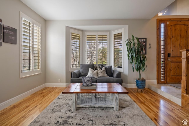 living area featuring baseboards, a healthy amount of sunlight, and wood finished floors