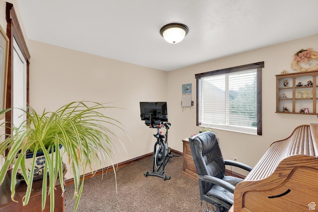 office with carpet floors and baseboards