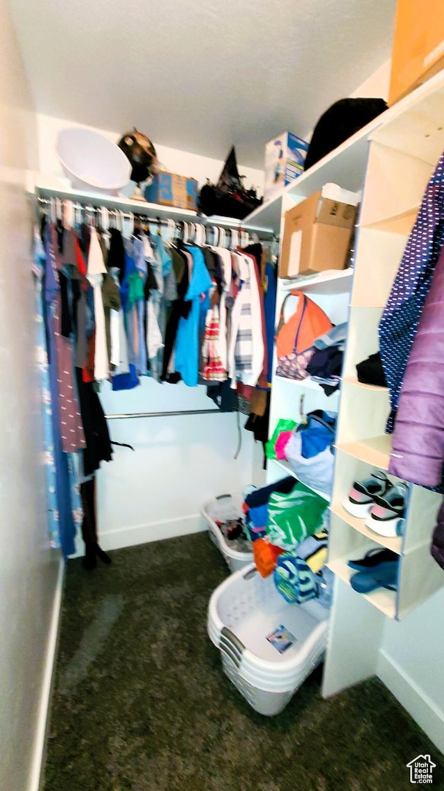 walk in closet featuring carpet