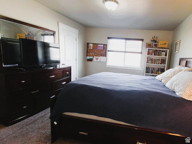 bedroom with carpet