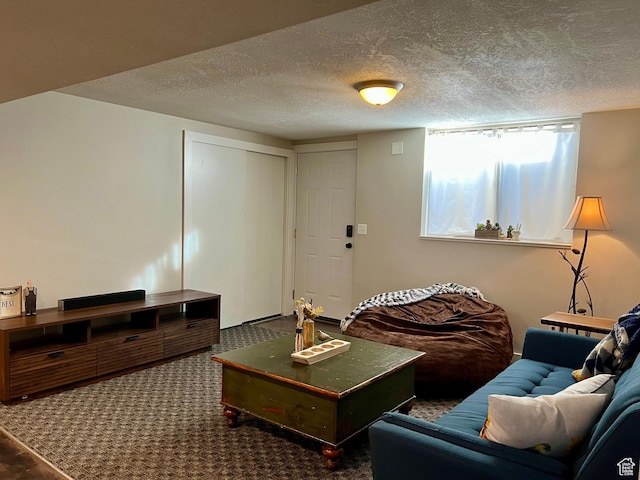 715 Oak Dr, Brigham City, UT 84302 - living room with carpet floors and a textured ceiling