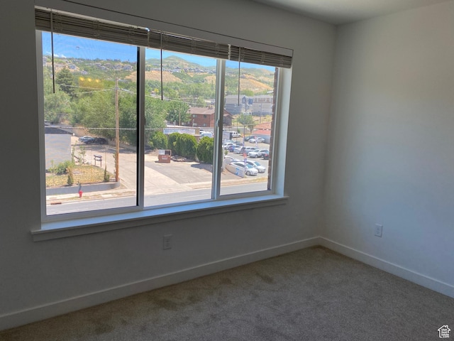 empty room with carpet floors, baseboards, and a wealth of natural light