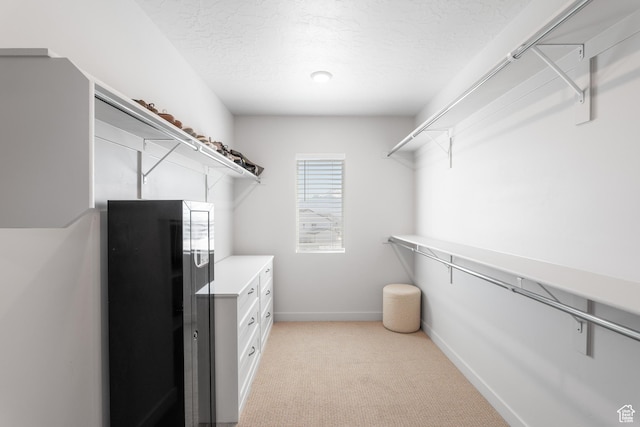 543 W Flora Dr, Saratoga Springs, UT 84045 - walk in closet with light carpet