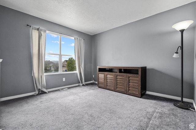 718 N 410 W, Tooele, UT 84074 - interior space with carpet floors, a textured ceiling, and baseboards