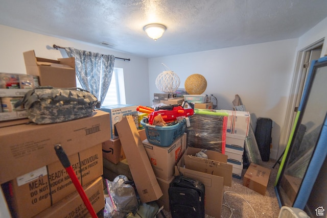 1137 S Topaz Rd, Saratoga Springs, UT 84045 - view of storage