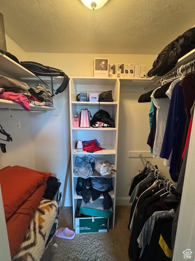 1137 S Topaz Rd, Saratoga Springs, UT 84045 - walk in closet featuring carpet