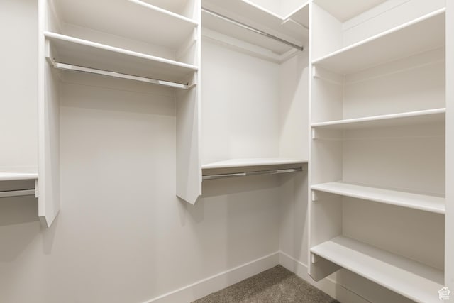 2187 W 320 S, Hurricane, UT 84737 - spacious closet featuring carpet floors