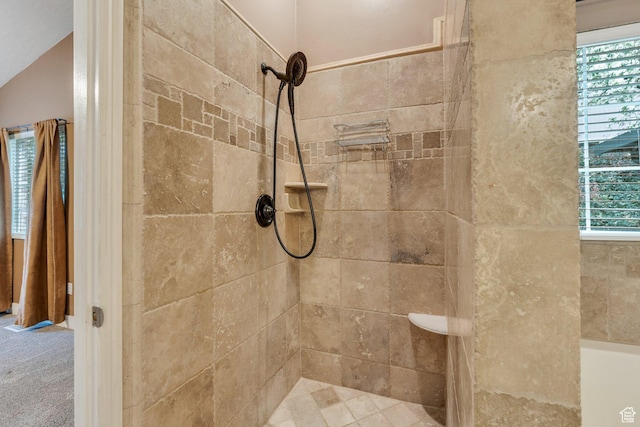 253 Ridge Rd, Orem, UT 84057 - full bathroom featuring a wealth of natural light and tiled shower