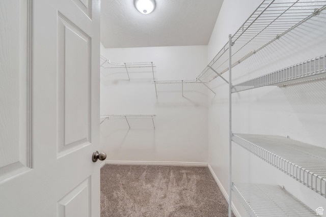 253 Ridge Rd, Orem, UT 84057 - walk in closet with carpet floors