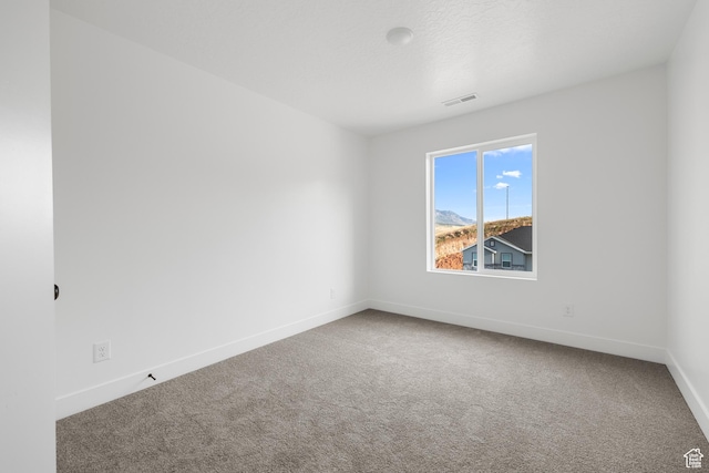 1975 S Marigold Way Unit 433, Santaquin, UT 84655 - carpeted spare room with baseboards