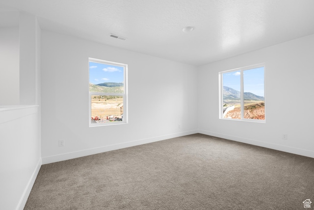1975 S Marigold Way Unit 433, Santaquin, UT 84655 - spare room with plenty of natural light, carpet floors, and a mountain view
