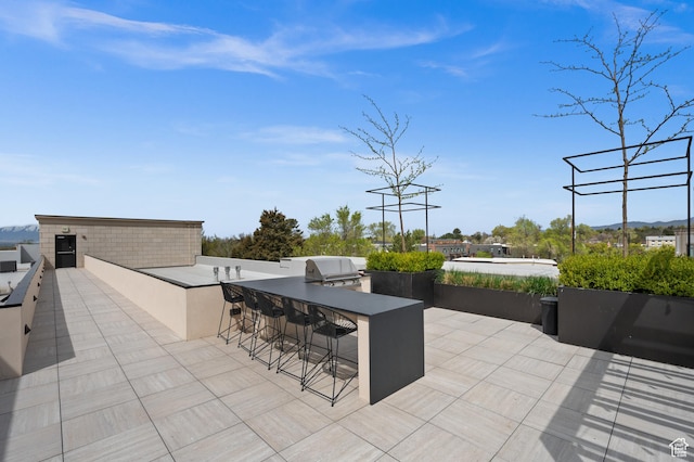 view of patio / terrace featuring exterior kitchen, outdoor wet bar, and area for grilling