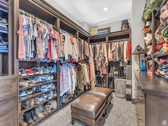 15146 S Secret Canyon Cir, Herriman, UT 84096 - spacious closet with carpet floors