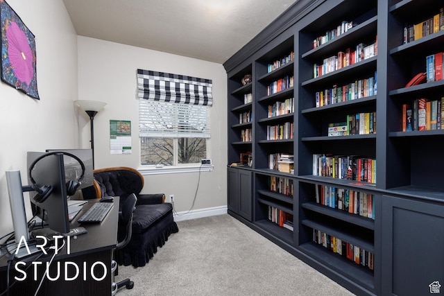 277 N Havenwood Dr W, Kaysville, UT 84037 - living area with baseboards, carpet flooring, and bookshelves