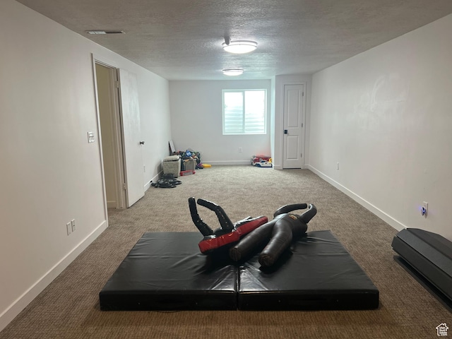 3415 W N Pln, City Road, Plain City, UT 84404 - exercise area featuring baseboards, carpet flooring, visible vents, and a textured ceiling