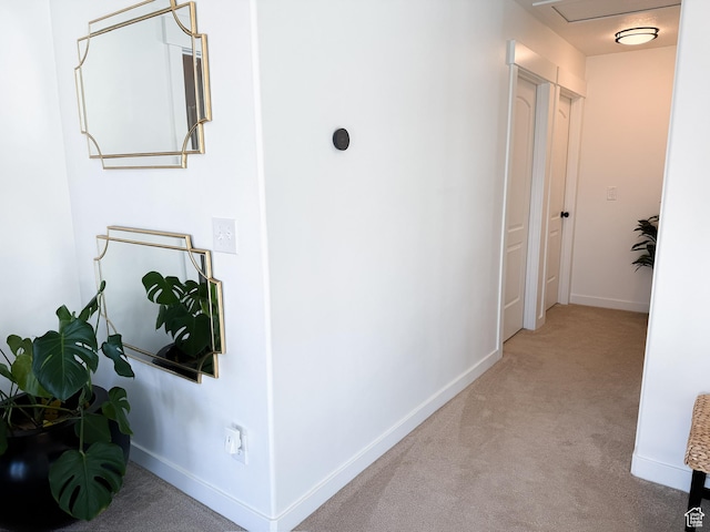 hall featuring carpet flooring and baseboards