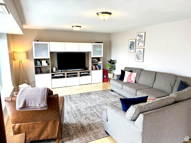 977 S Via La Costa Way, Kaysville, UT 84037 - living area with light wood-type flooring