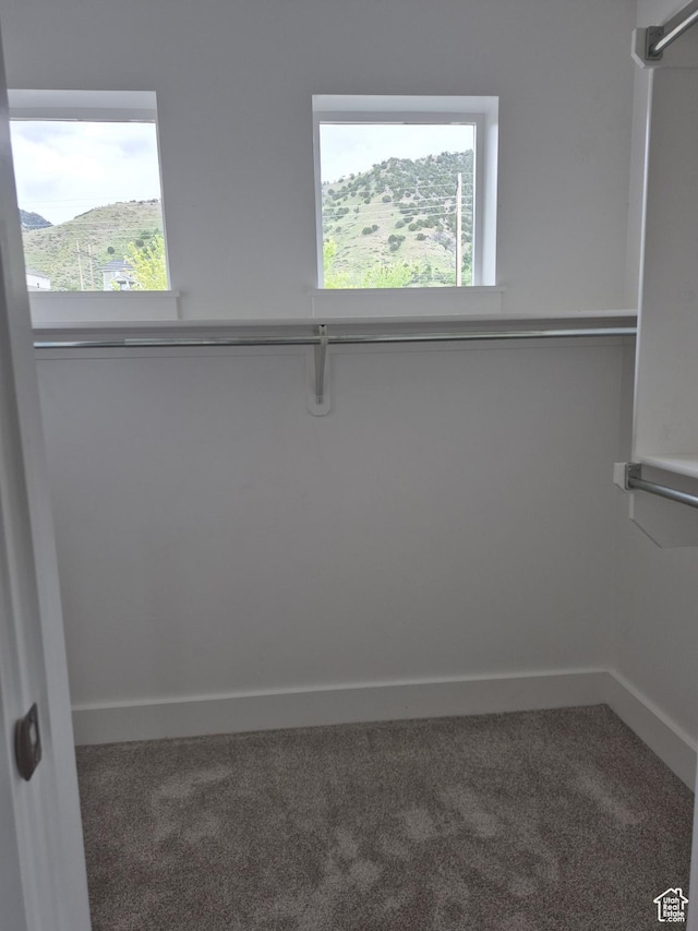 walk in closet featuring carpet