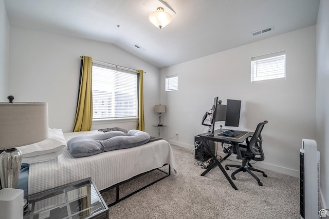 13537 S Commodus Dr W Unit 304, Riverton, UT 84096 - bedroom with lofted ceiling, baseboards, visible vents, and carpet floors