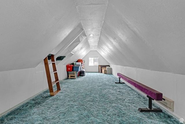 275 E 1st S, Preston, ID 83263 - additional living space featuring vaulted ceiling, a textured ceiling, and carpet floors