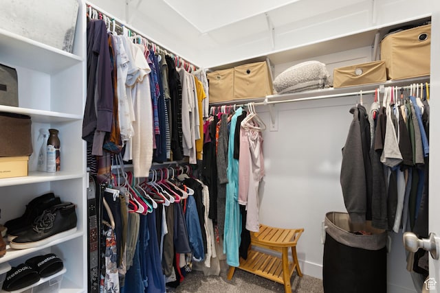 6982 W Majestic View Ln S, Herriman, UT 84096 - spacious closet featuring carpet